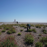 SNTV 2018-07-01 Orford Ness 06