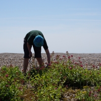 SNTV 2018-07-01 Orford Ness 10