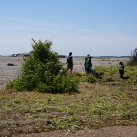 SNTV 2018-07-01 Orford Ness 12